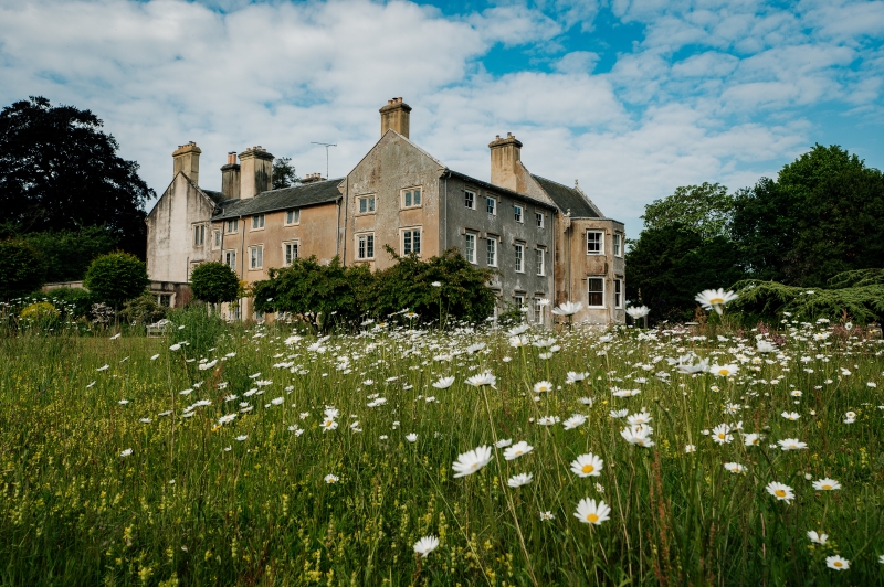 Bisterne Manor & Stable Family Home Trust